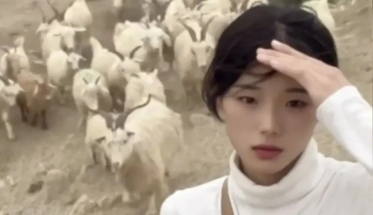 Dalam video lainnya, salah satu domba miliknya jatuh setelah berlari menabrak pagar. Dia menulis dalam caption,” Mari ucapkan selamat tinggal pada pria di dunia, bahkan domba jantan tidak bisa diandalkan dan mereka tidak bangun lagi jika terjatuh.” (Foto: Douyin)