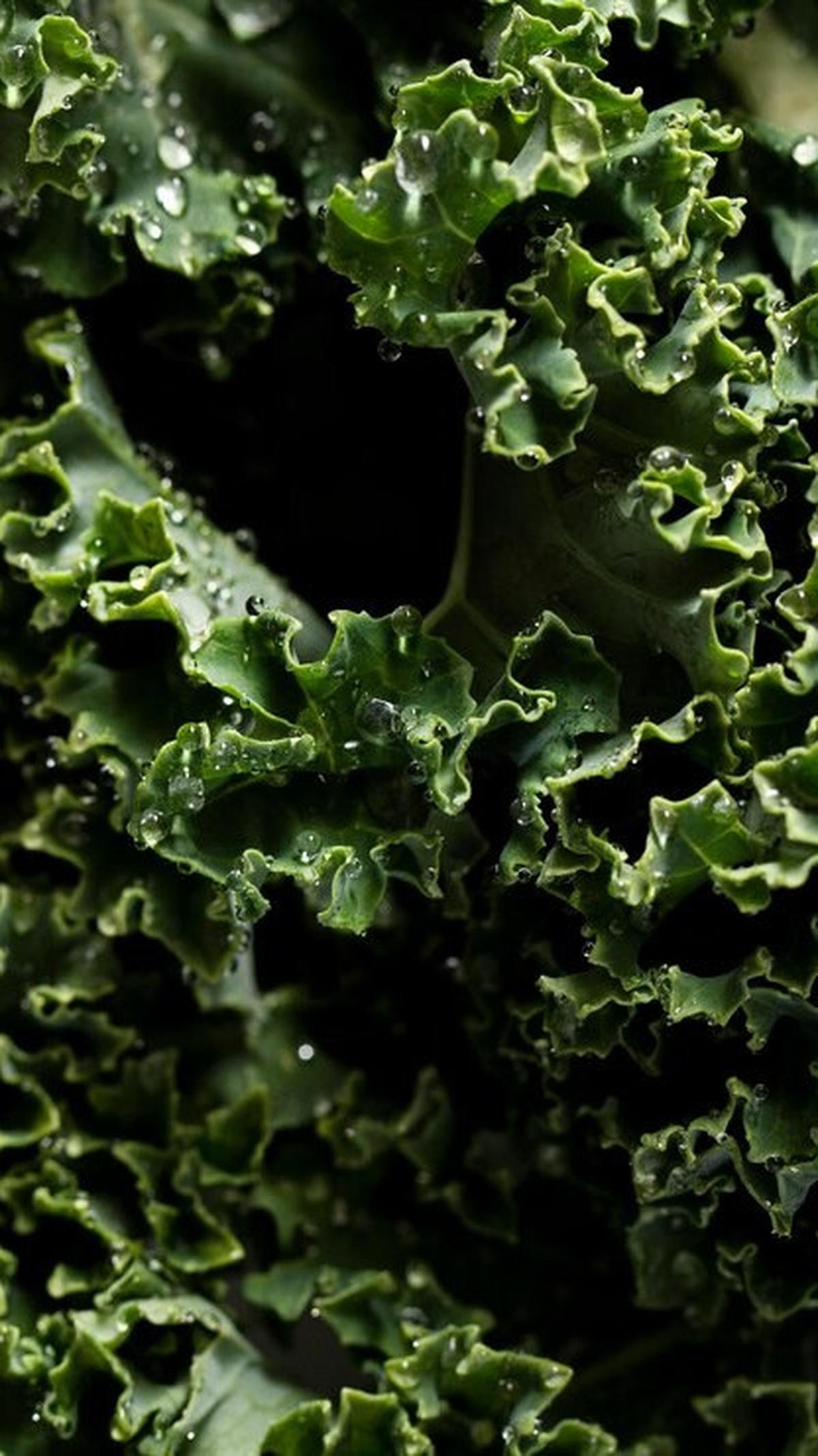 5.&nbsp;Kale: Sayuran Berdaun Hijau Penuh Kalsium