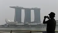 Asap Karhutla Sampai Negara Tetangga, Ini Respons Istana