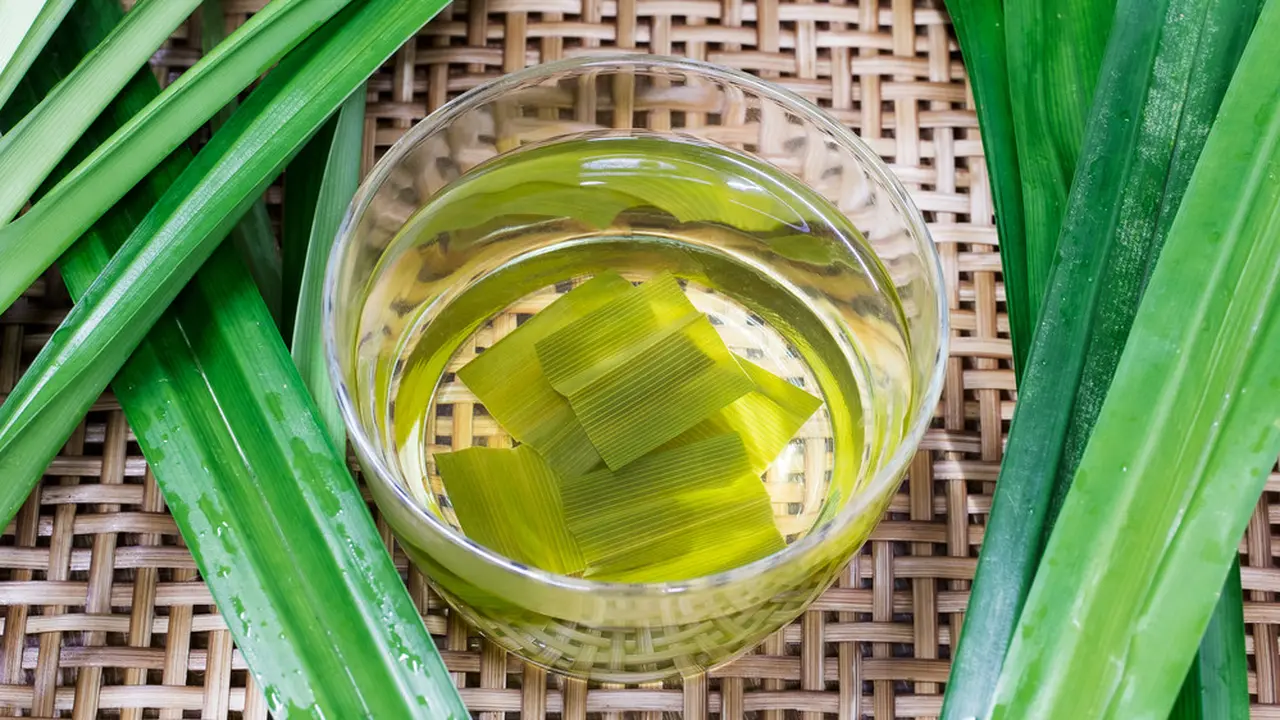 daun pandan