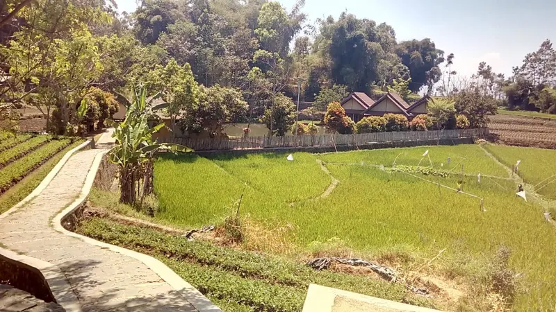 Salah satu view destinasi kawasan Desa Wisata Ciburial, Samarang Garut, Jawa Barat