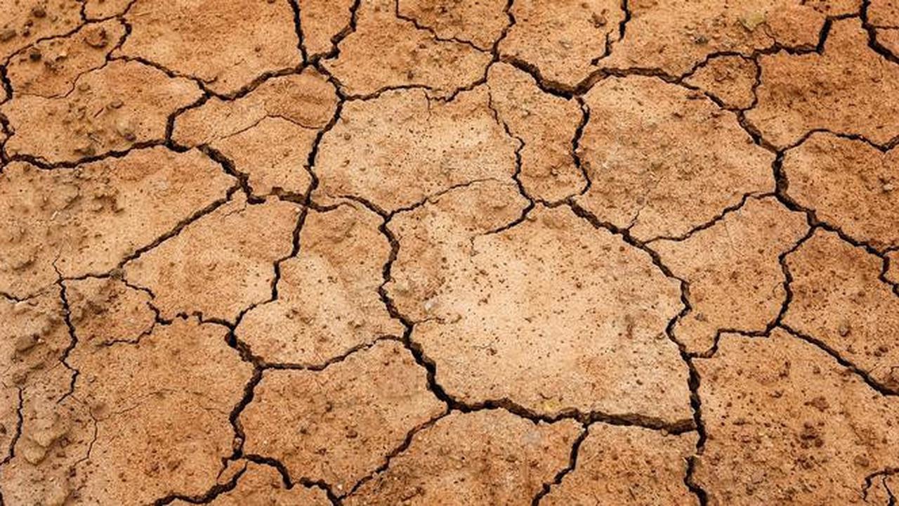 ilustrasi kemarau dan kekeringan