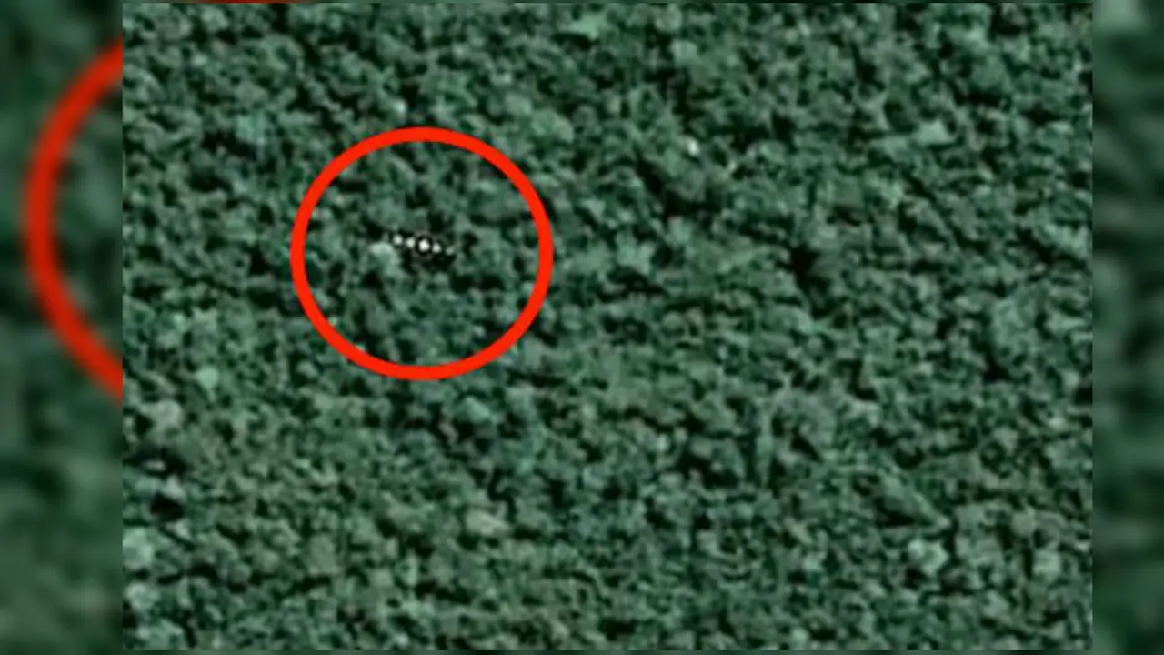Benda Aneh Ditemukan di Pedalaman Hutan Amazon, UFO?