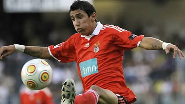 img_di-maria_1.jpg