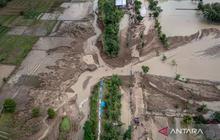 BNPB Intensif Tangani Banjir Grobogan-Demak, Ribuan Rumah Terendam