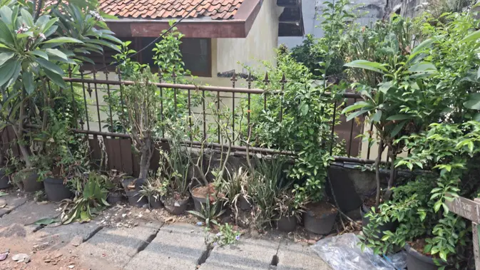 Jalan Gelap Tebet Jadi Saksi Bisu Penganiayaan Mahasiswa UI