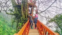 Rumah Pohon Curug Ciherang Dibanjiri Pemburu Selfie
