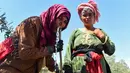 Setengah lainnya sebagian besar bergantung pada sumur yang dibangun oleh asosiasi agraria lokal yang secara resmi bekerja di bawah kementerian pertanian. (FETHI BELAID / AFP)