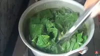 Cara Masak Daun Singkong Agar Tetap Hijau dan Tidak Alot, Cuma Pakai 2 Bahan Dapur (YouTube/Anna Subadi)