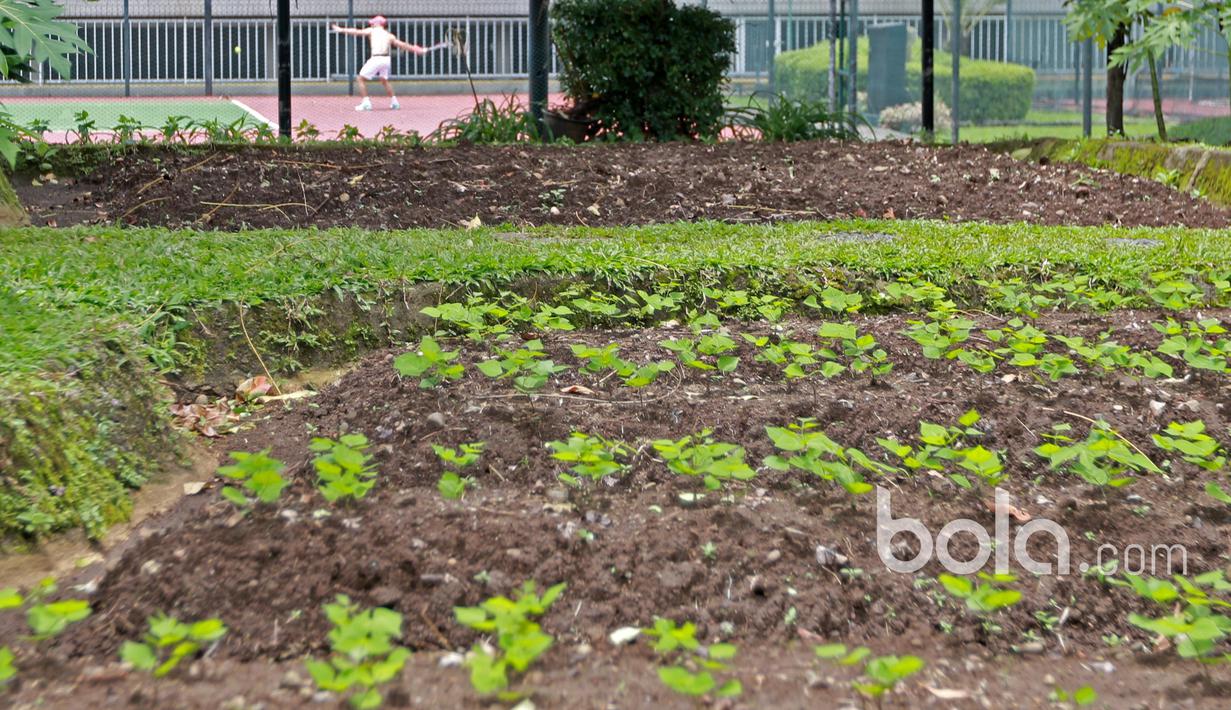 Aksi seorang petenis saat berlatih mematangkan strategi guna mengikuti babak selanjutnya pada ajang Combiphar Tennis Open 2017 di Hotel Sultan, Jakarta. Senin (13/2/2017). (Bola.com/Nicklas Hanoatubun)