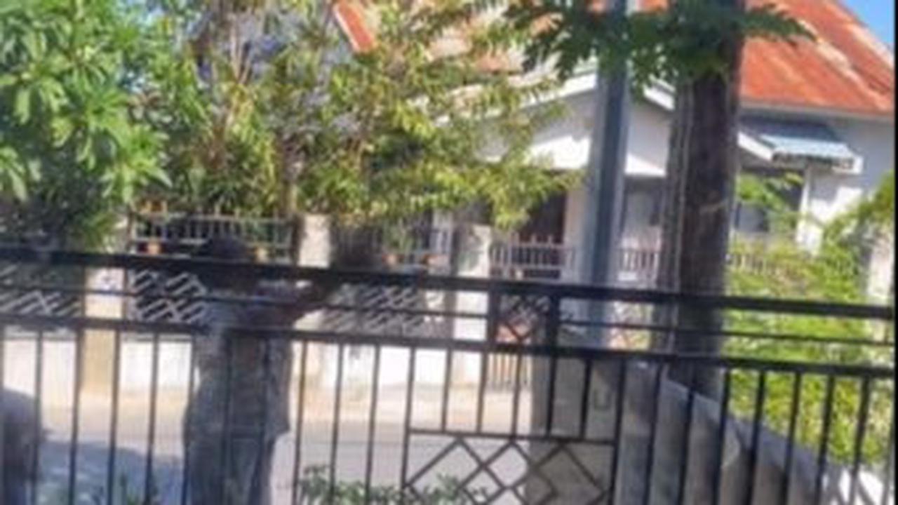 Curhat Belum Pernah Tahu Rasanya dari Awal Pertama Menanam