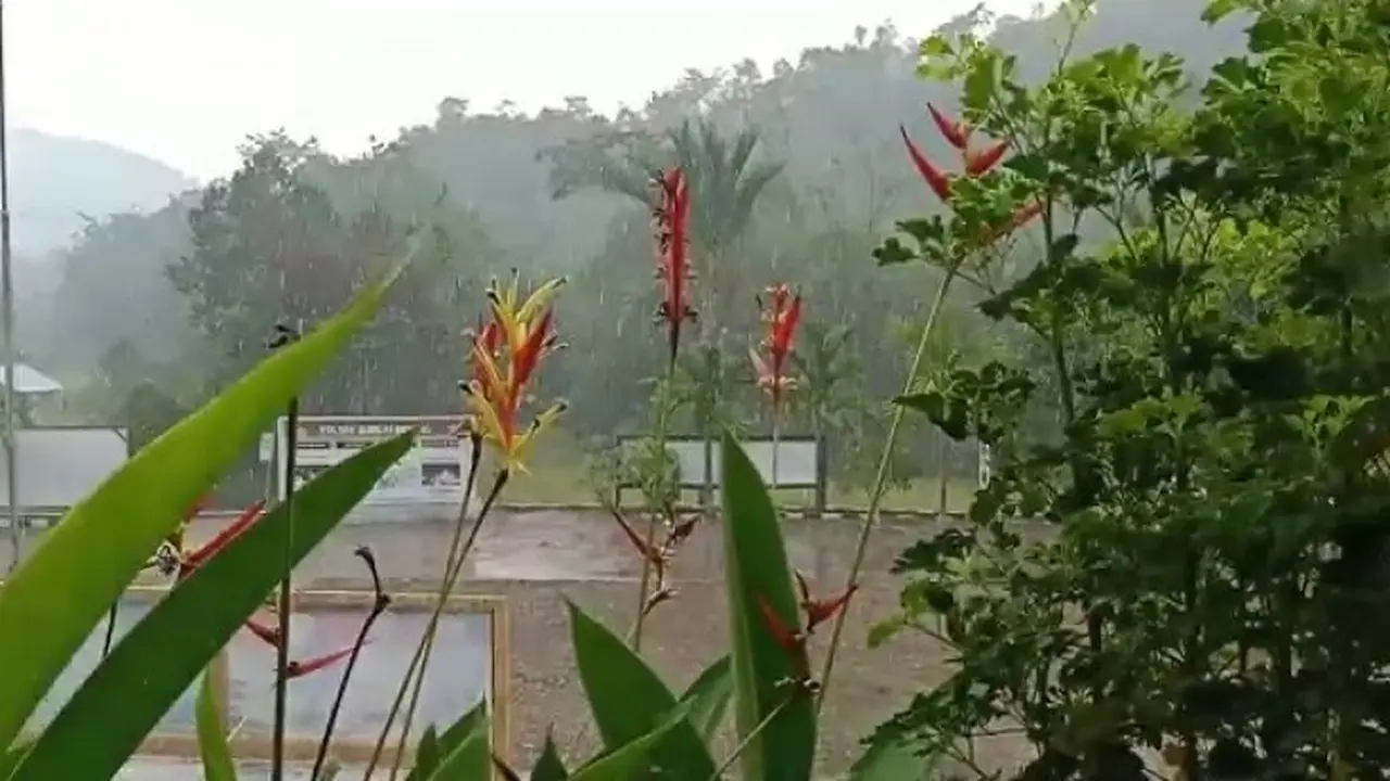 Kebakaran Hutan