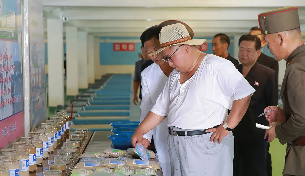 Pemimpin Korea Utara Kim Jong-un saat meninjau peternakan lele samchon di Provinsi Hwanghae Selatan, Korea Utara, Senin (6/8). Kim tampak santai dengan kaus putih tipis dan topi bundar. (KCNA VIA KNS/AFP)