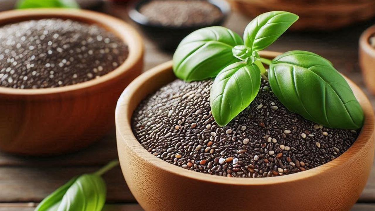 Manfaat Chia Seed dan Selasih, Pilihan Segar untuk Takjil Buka Puasa