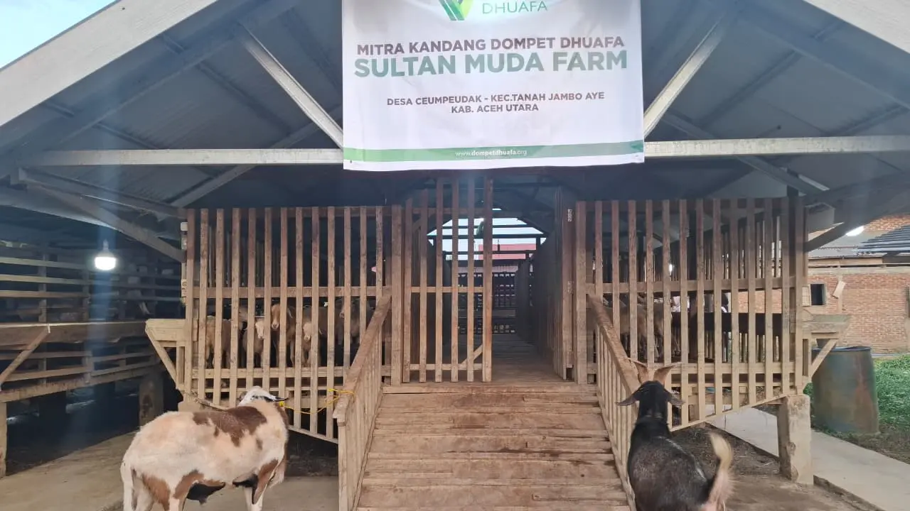 Mitra kandang Dompet Dhuafa di Aceh Utara. (Liputan6.com/Yacob Billiocta)
