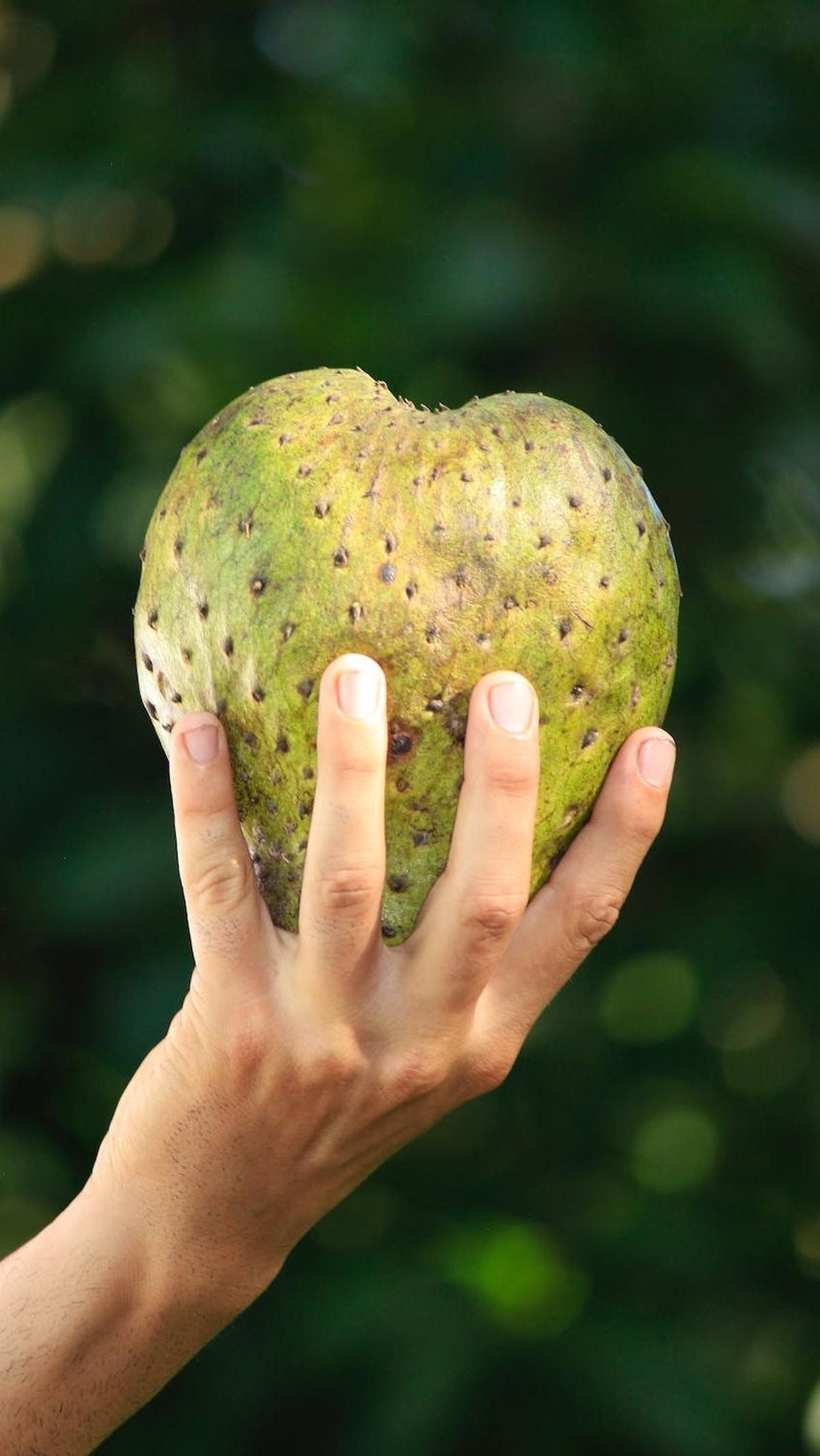 2. Melawan peradangan