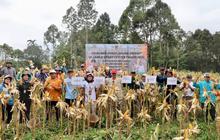 DPKP Kalsel Kembangkan Kawasan Pertanian Terpadu Bukit Merangkul untuk Ketahanan Pangan Daerah