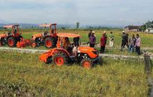 Tanda-Tanda Indonesia Semakin Dekat Swasembada Pangan