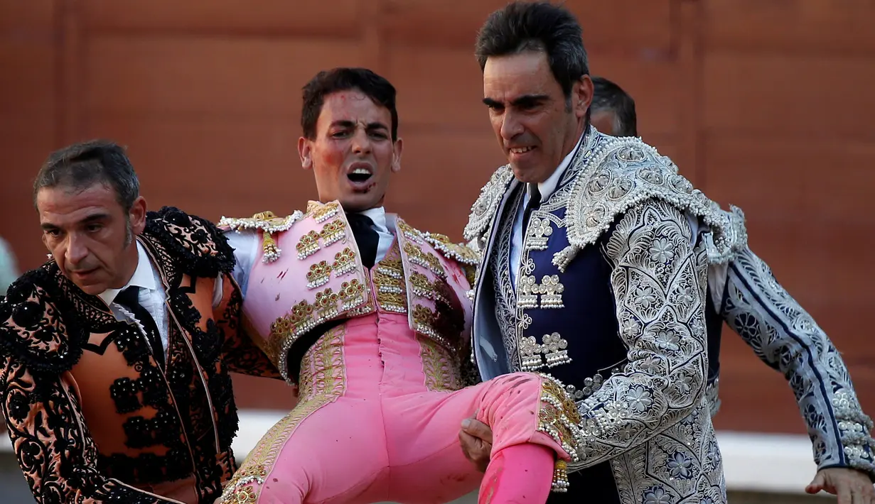 Matador asal Spanyol, Pablo Belando dibawa keluar arena karena banteng yang menjadi lawannya berhasil menyeruduknya di arena adu banteng Ventas di Madrid (24/7). (REUTERS / Javier Barbancho)
