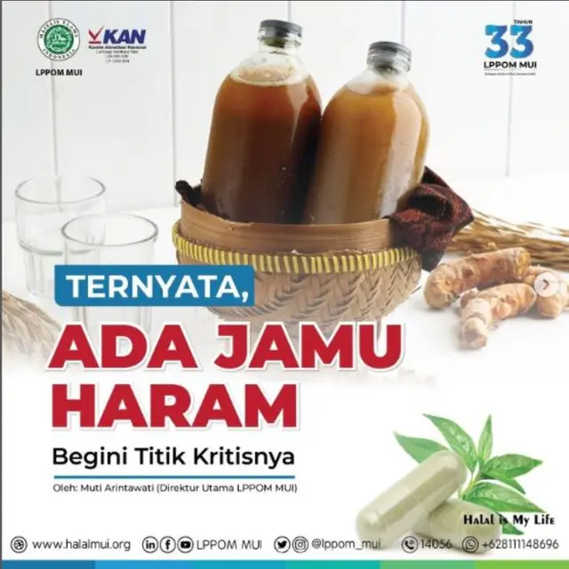 Tak Semua Jamu Halal, LPPOM MUI Ungkap 3 Jenis Jamu Haram