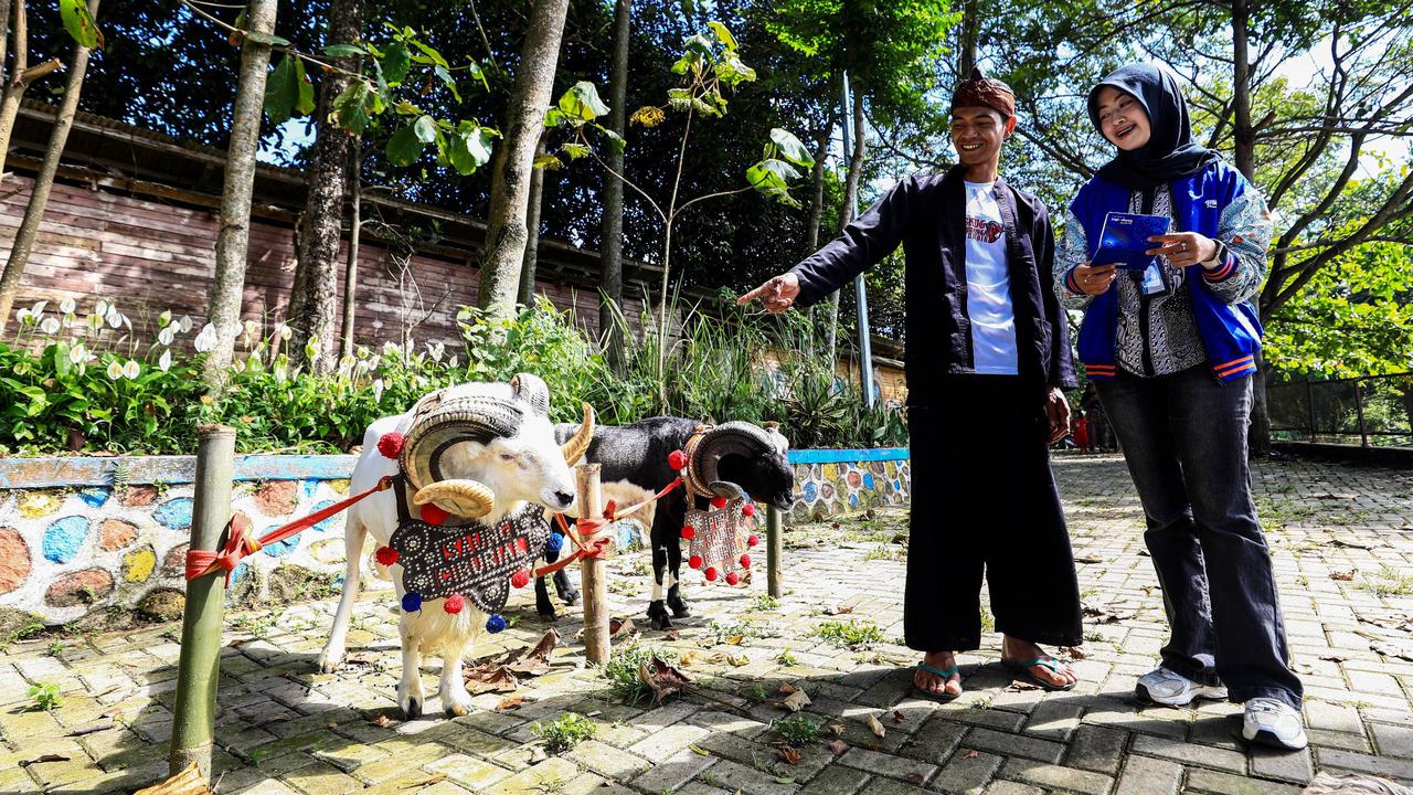 Iduladha Jadi Momentum, BRI Peduli Tingkatkan Produktivitas Peternak Domba di Desa BRILiaN Sukalaksana Garut