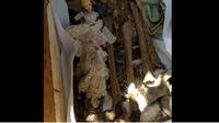 Sebuah makam berisi jenazah berbaju pengantin ditemukan telah menjadi tulang-belulang. di samping jenazah yang dibongkar itu ada boneka barbie yang masih utuh dan terlihat bersih. (Solopos/ Istimewa)