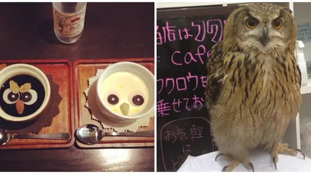 Foto : copyright kotaku.com