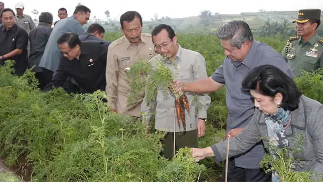 Presiden Tanam Pohon di Lereng Gunung