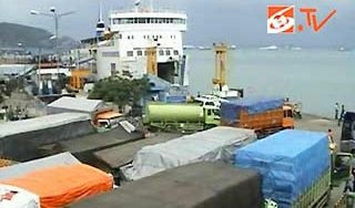 Pernah Menggunakan Pohon Kelapa