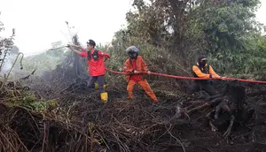 Kabut Asap Muncul, Operasi Terpadu Kebakaran Hutan Kalimantan Diperkuat