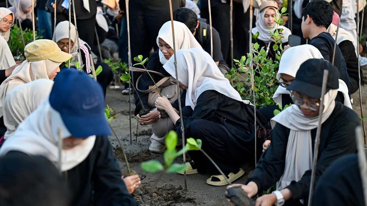 FOTO: Anak Muda Aceh Tanam Mangrove untuk Perkuat Ekosistem Pesisir