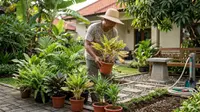 Cara Memisahkan Tanaman yang Terkena Hama dari Tanaman Lain, Wajib Tahu