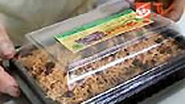 Brownies Singkong, Murah Tapi Padat Gizi