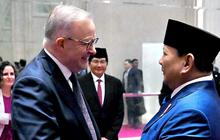 PM Albanese Puji Program Makan Bergizi Gratis Prabowo