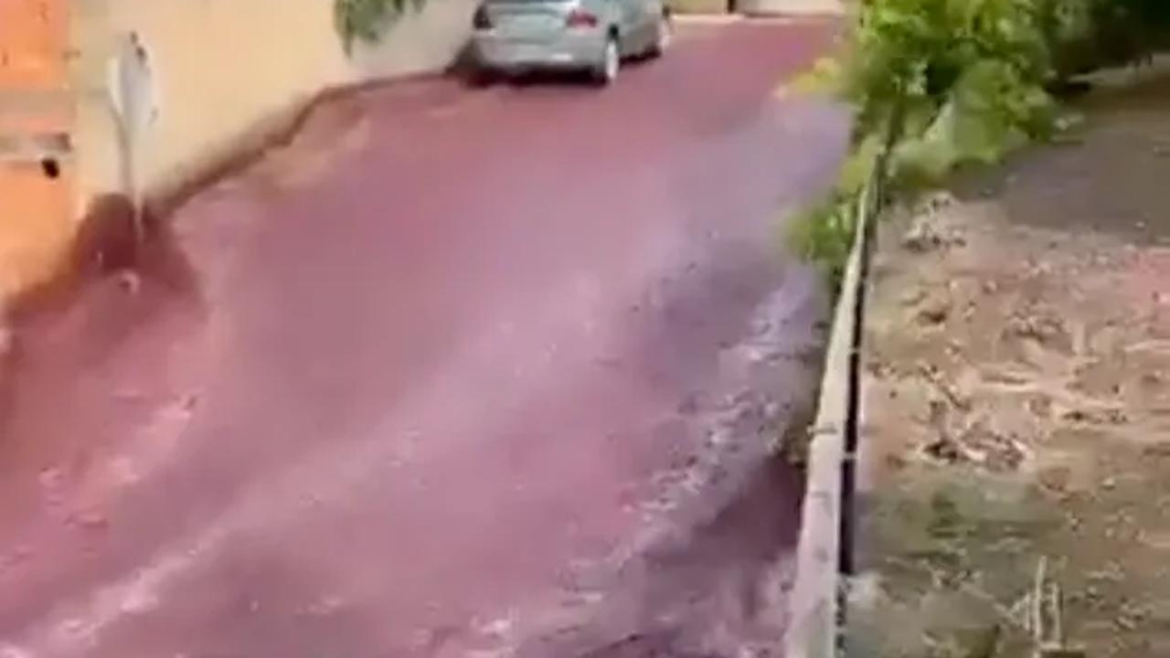 Desa Kecil di Kota Ini Banjir Anggur Merah, Ternyata Ini Gara-Garanya