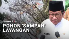 Permasalahan sampah di Jakarta belum usai. Sampah menumpuk di permukiman, sungai, hingga terkini menumpuk di pohon. Ternyata, sampah-sampah ini berasal dari layangan putus yang tersangkut.