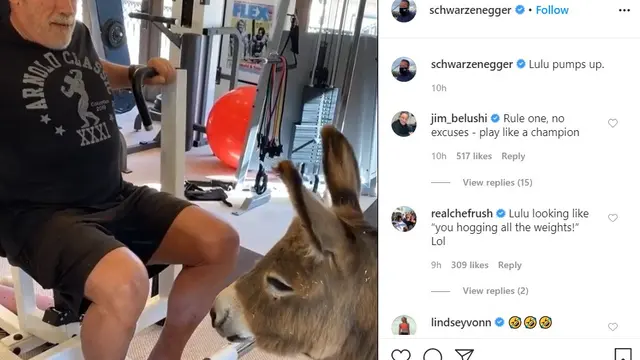 Arnold Schwarzenegger nge-gym bareng Lulu. (Instagram/ schwarzenegger)