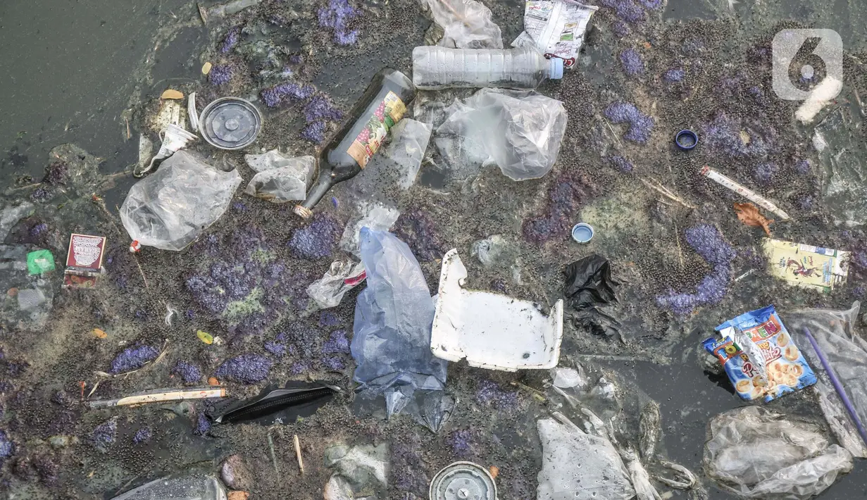 Tumpukan sampah saat mencemari Waduk Mookervart, Duri Kosambi, Jakarta Barat, Senin (11/10/2021). Seperti diketahui, waduk yang berada di atas lahan seluas 1,1 hektare tersebut diresmikan pada Maret 2021 dengan anggaran pembangunan sebesar Rp12 miliar. (merdeka.com/Iqbal S. Nugroho)