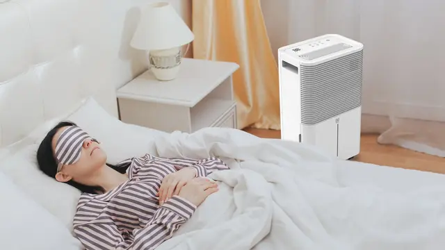 Dehumidifier
