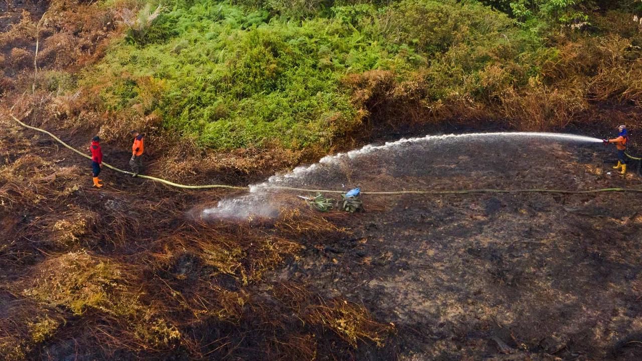 FOTO: Semangat Petugas BPBD Aceh Barat di Tengah Sulitnya Memadamkan Api di Hutan Gambut