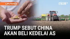 Presiden Amerika Serikat Donald Trump mengumumkan bahwa China sepakat membeli kedelai dan produk pertanian AS dalam jumlah besar. Ia juga menyebut akan menurunkan tarif atas produk Cina dari 57% menjadi 47% setelah pertemuan dengan Presiden Xi Jinpin...