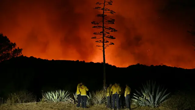 Kebakaran Palisades Meluas, Ancam Lingkungan Permukiman di Encino Los Angeles