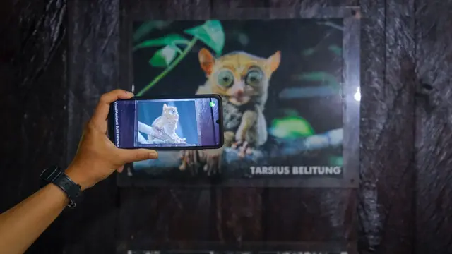 Status UNESCO Global Geopark Belitong Juga Akan Direvalidasi Tahun Ini