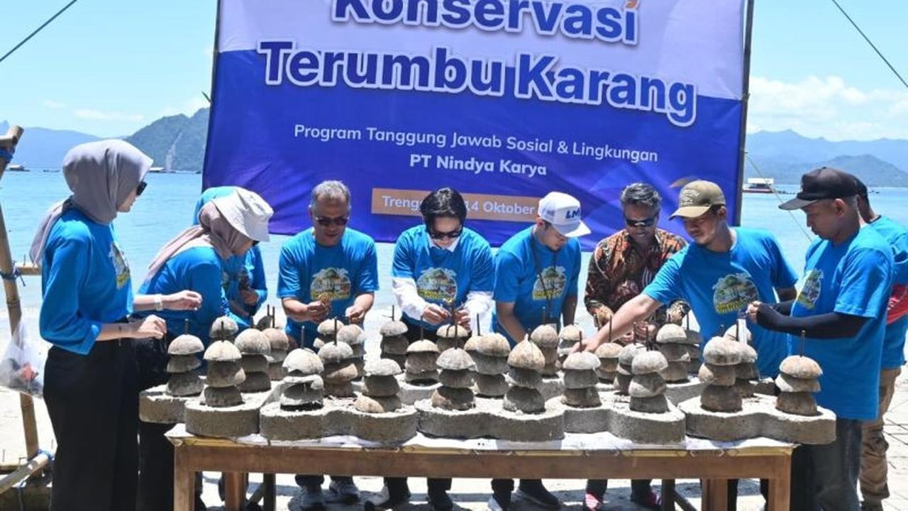 Fakta Unik! Trenggalek Apresiasi Konservasi Mangrove dan Terumbu Karang: Daya Serap Karbon Lebih Tinggi