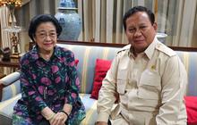 Mengintip Bunga di Meja Ruang Tamu Megawati Saat Menyambut Presiden Prabowo, Simbol Apa?