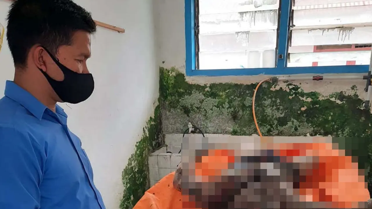 Penemuan hayat di sungai