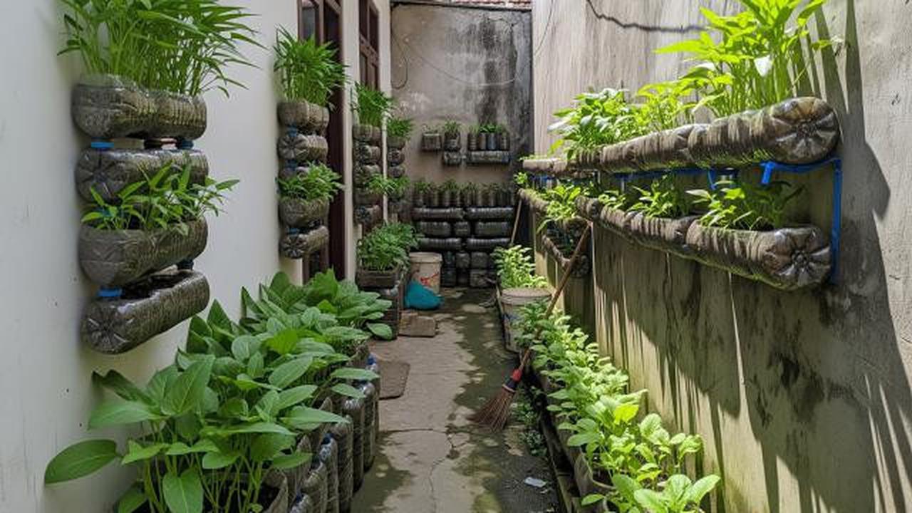 9 Cara Memanfaatkan Lahan Sempit untuk Kebun Mini Tanpa Risiko Keamanan bagi Keluarga