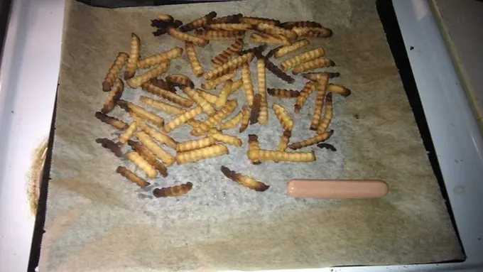 14 Makanan yang Seharusnya Nggak Ada Di Muka Bumi Ini