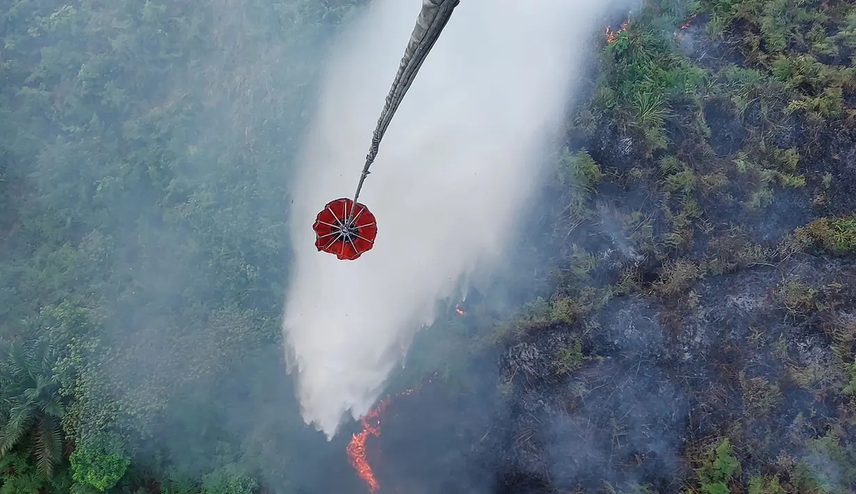 Sebuah helikopter melakukan pengeboman air untuk memadamkan kebakaran lahan gambut di Danau Lamo, Provinsi Jambi, Indonesia, pada hari Senin, 24 Agustus 2026. (BPBD Jambi via AP)