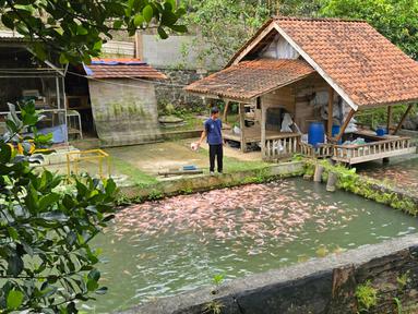 Desa BRILiaN Jatihurip, Desa Mandiri dan Jadi Percontohan Dalam Pengembangan Energi Terbarukan Berkat Bantuan BRI.